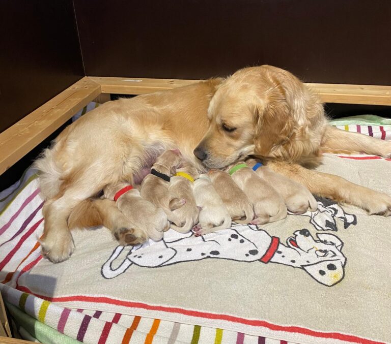 Der X-Wurf ist gelandet 🥰